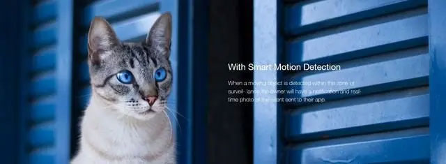 合肥品牌網站建設